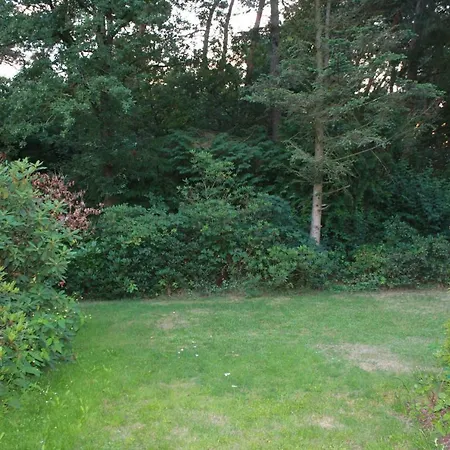 Bungalow Hartje Veluwe Otterlo Exterior foto