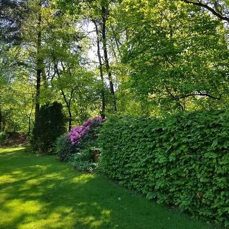 Bungalow Hartje Veluwe Otterlo Exterior foto