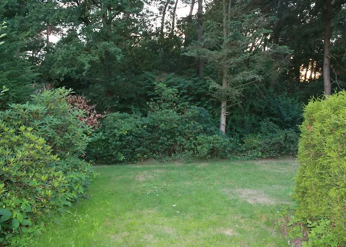Bungalow Hartje Veluwe