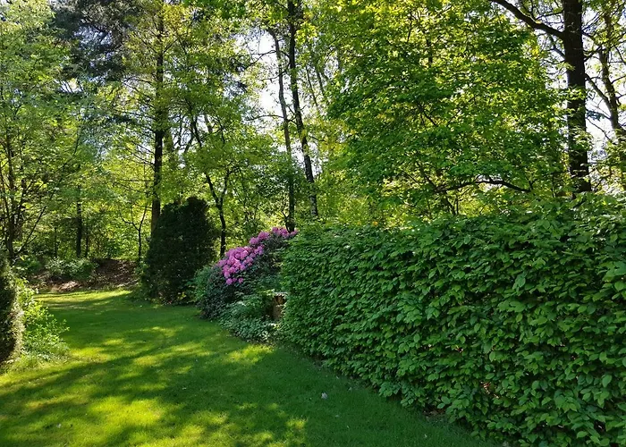 Bungalow Hartje Veluwe