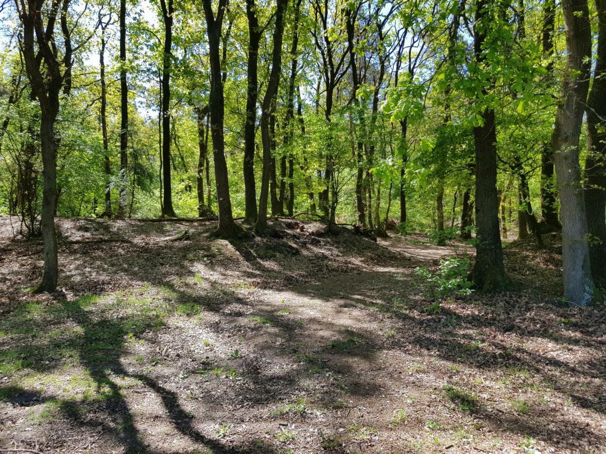 Hartje Veluwe *