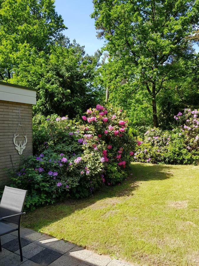 Apartment Hartje Veluwe Otterlo