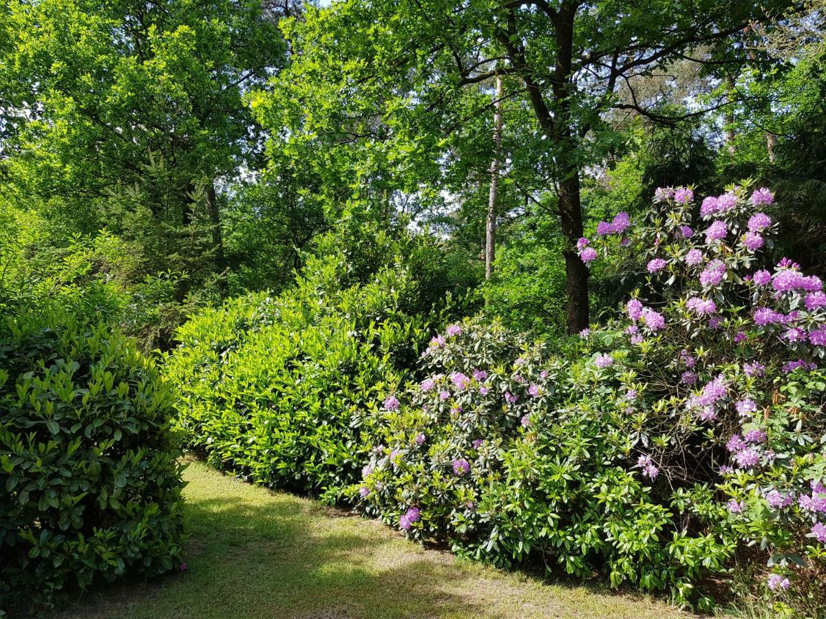Hartje Veluwe Apartment
